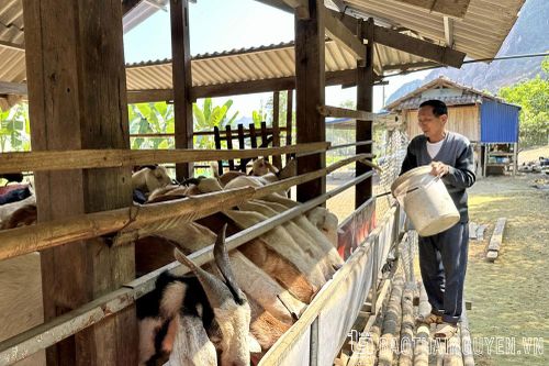 'Đầu tàu' ở Đồng Mây