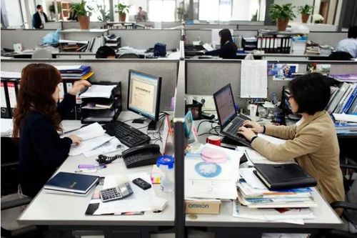 Chống phân biệt đối xử trong tuyển dụng và môi trường làm việc