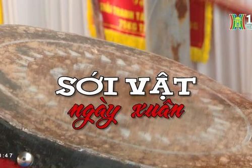 Sới vật ngày Xuân (ngày 12/3/2023)