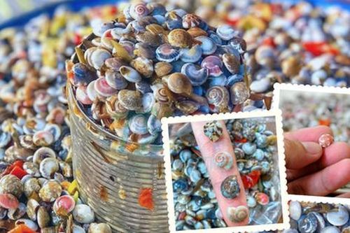 Món ốc 'kỳ lạ' ở Việt Nam khiến thực khách mỏi tay hoa mắt nhưng vẫn thích mê