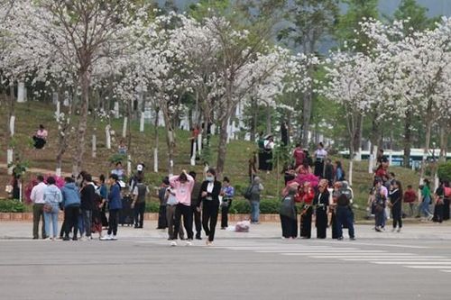 Sơn La: Tôn vinh giá trị văn hóa truyền thống trong 'Lễ hội mùa hoa ban 2023'