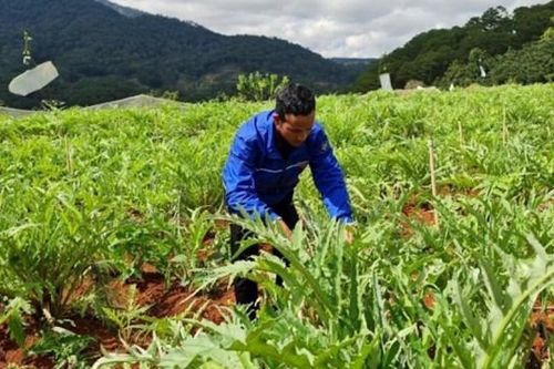Lâm Đồng: Hơn 65 tỷ đồng thực hiện Chương trình Giảm nghèo năm 2023