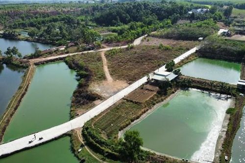 Đồng Nai: Yêu cầu huyện Trảng Bom kiểm điểm xảy ra sai phạm đất đai