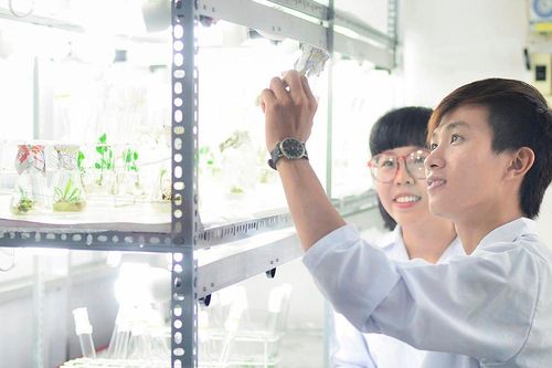 Phản hồi loạt bài 'Bất cập đào tạo nhân lực khoa học cơ bản': Cần thực hiện nhiều giải pháp