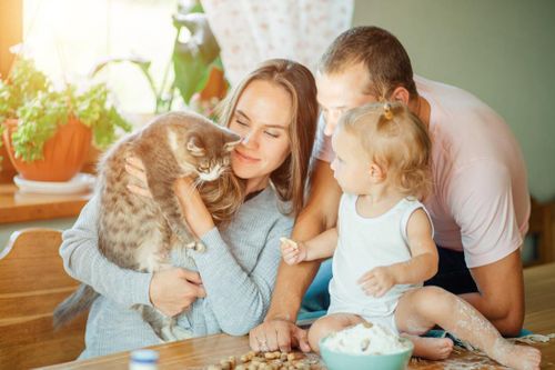 Cách giúp trẻ chơi với thú cưng an toàn