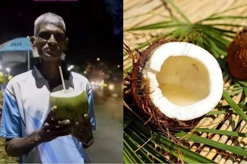 Cuộc sống kỳ lạ của người đàn ông ăn dừa suốt 28 năm
