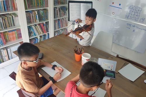 Không đến trường, 3 con được mẹ Việt tự dạy theo chương trình Mỹ
