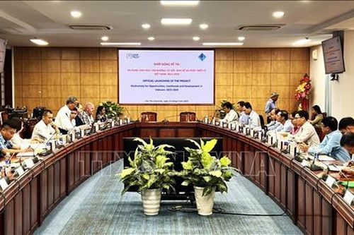 Na Uy tài trợ Việt Nam nghiên cứu lai tạo các giống lúa thích ứng với biến đổi khí hậu