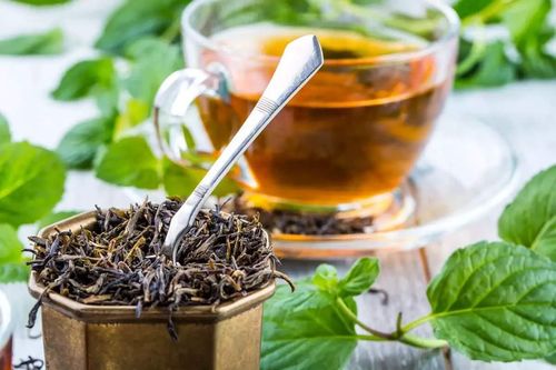 Lợi ích tuyệt vời của trà assam đối với sức khỏe