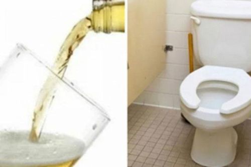 Chỉ với 1 lon bia uống dở, giải quyết rất nhiều vấn đề nhà nào cũng cần