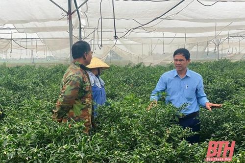 Thêm 8 xã được công nhận đạt chuẩn NTM nâng cao