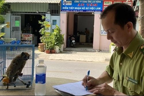 Đóng cửa đi ngủ, rùng mình phát hiện con thú lạ