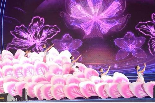 Khai mạc Lễ hội Hoa Ban năm 2023 lung linh sắc màu
