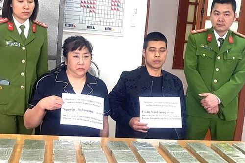 Hòa Bình: Vận chuyển trái phép 20 bánh heroin lấy 100 triệu đồng tiền công
