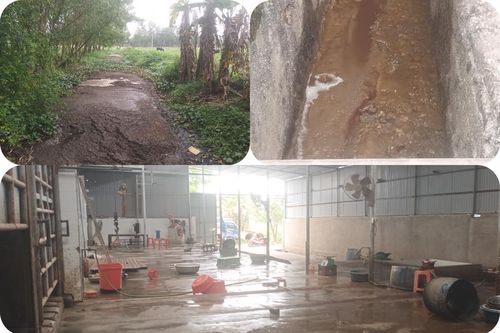 Nghệ An: Thiếu kiểm soát các lò giết mổ tập trung động vật (bài 1)