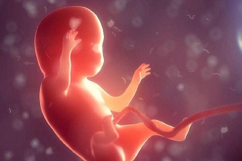 Phát hiện bào thai trong hộp sọ của em bé 1 tuổi