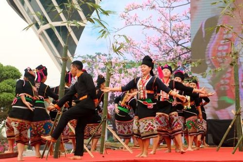 Ấn tượng Lễ hội Hoa Ban