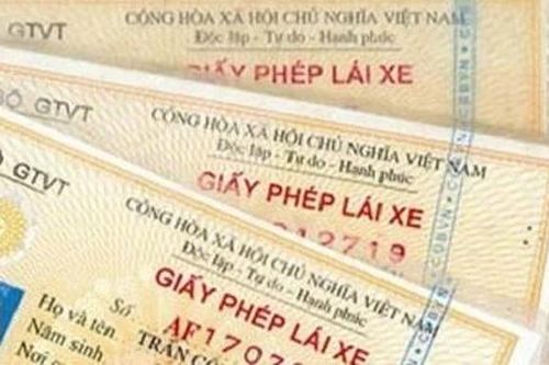 Nghệ An phát hiện 43 tài xế dùng giấy phép lái xe giả
