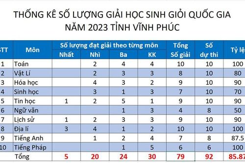 3 học sinh Vĩnh Phúc lọt vào vòng thi chọn đội tuyển Olympic quốc tế