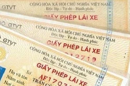 Nghệ An phát hiện hơn 40 tài xế dùng giấy phép lái xe giả