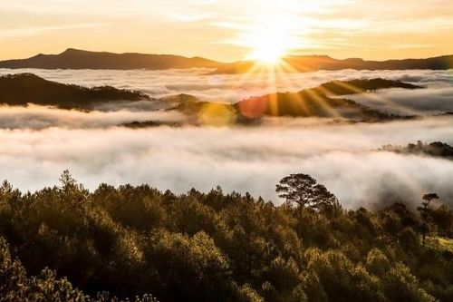 Điểm danh những tọa độ săn mây 'hot' nhất Đà Lạt