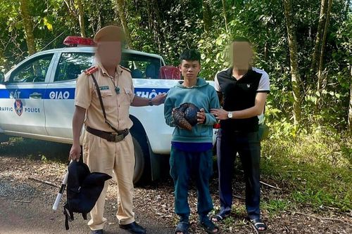 Bắt giam 3 đối tượng mang tê tê từ Bình Phước lên Đắk Nông tiêu thụ