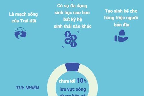 Ngày Hành động vì các dòng sông: Nỗ lực bảo vệ mạch sống của Trái Đất