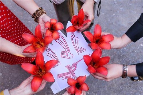 Bác Cổ - Mùa hoa gạo