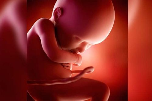 Hy hữu: Phát hiện thai nhi còn sống trong hộp sọ bé 1 tuổi