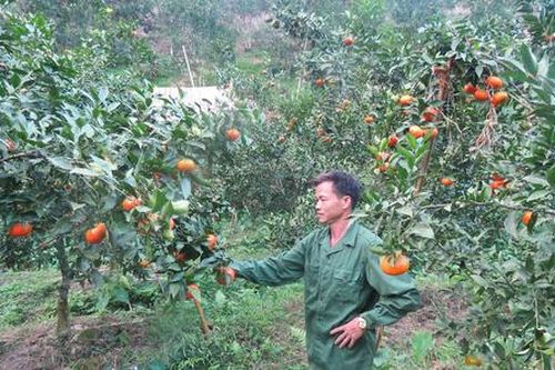 Những 'cánh chim' tiên phong đưa đồng bào dân tộc thoát nghèo
