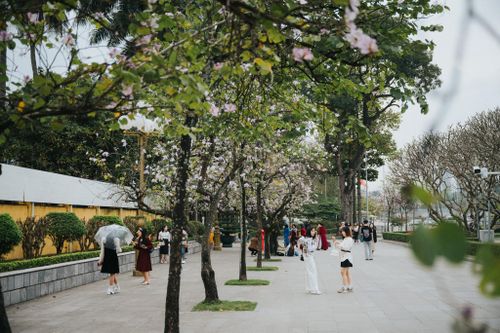 Hà Nội đặt mục tiêu đón 3 triệu lượt khách quốc tế trong năm 2023
