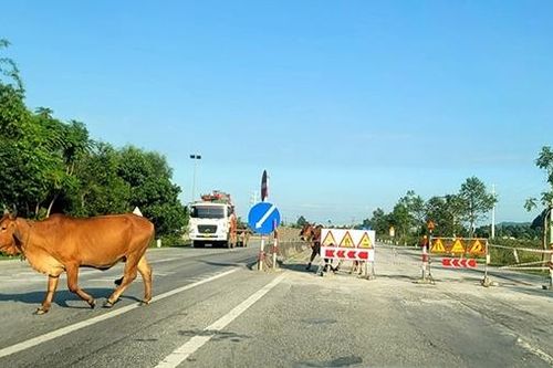 Quốc lộ 1A 'nát như tương', Hà Tĩnh 'cầu cứu' Bộ GTVT