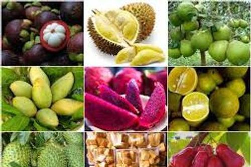 Xuất khẩu nông sản trước thách thức từ lạm phát