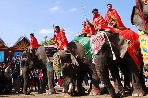 Lễ hội Cà phê Buôn Ma Thuột 2023: Ấn tượng Hội voi và Lễ hội Văn hóa truyền thống huyện Buôn Đôn
