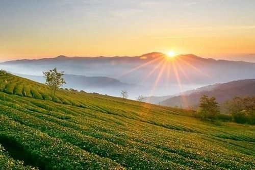 Tháo nút thắt về chính sách cho đất nông nghiệp