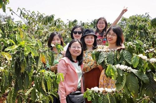Bám địa bàn, cán bộ tín dụng của Agribank đem vốn đến từng nông hộ