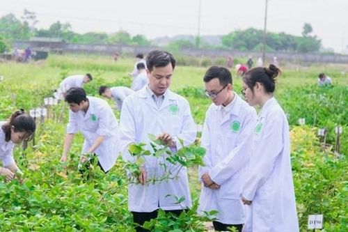 Nghịch lý tuyển sinh đại học