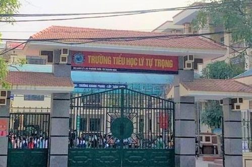 Cảnh cáo nữ giáo viên tham gia đường dây làm bằng giả