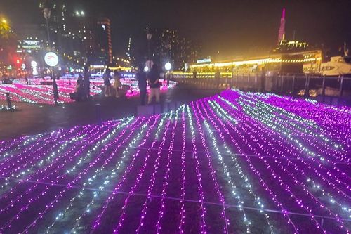 Đèn nghệ thuật lấy cảm hứng từ sen và sakura khoe sắc tại Công viên Bến Bạch Đằng