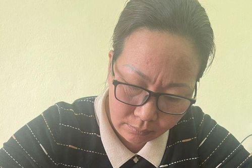 Mang hai tiền án, nữ đạo chích gây ra hàng loạt vụ trộm cắp