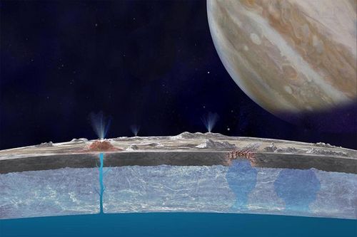 Nóng: Tồn tại sự sống ngoài hành tinh mang vẻ ngoài chết chóc