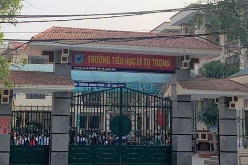 Nữ giáo viên ở Thanh Hóa tham gia đường dây làm con dấu, chứng chỉ và bằng giả
