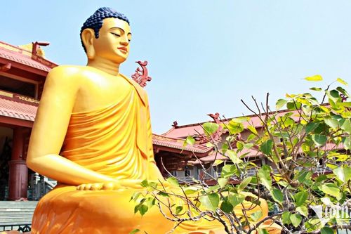 Chuyện về tượng 'Phật cô đơn' tọa thiền giữa cánh đồng hoang tàn vì bom đạn