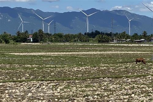 Việt Nam loại trừ nhiều chất làm suy giảm tầng ozone từ năm 2024