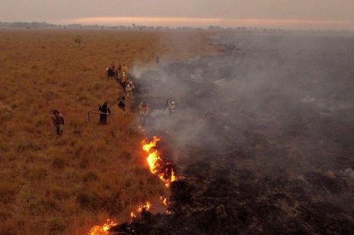 Nắng nóng, hạn hán kéo dài thiêu rụi hơn 6.000ha rừng tại Argentina