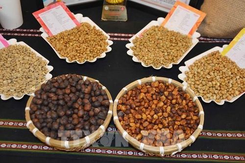 Điều chỉnh cách đăng ký xuất khẩu vào Trung Quốc một số mặt hàng thực vật