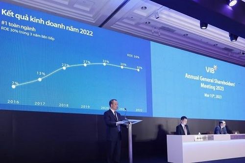 Cho vay bất động sản, trái phiếu làm 'nóng' đại hội cổ đông Ngân hàng VIB