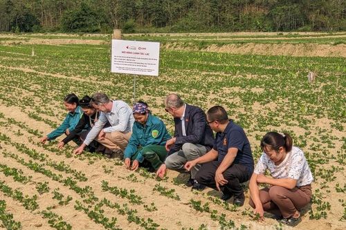 Nâng cao quyền năng kinh tế giúp phụ nữ dân tộc thiểu số có được tiếng nói