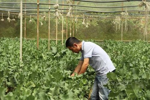 Bước tiến mới trong tiến trình xây dựng nông thôn mới nâng cao