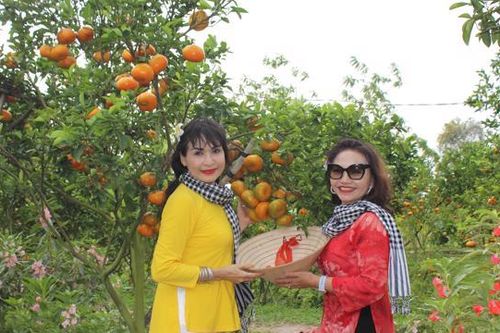 Đồng Tháp: Phấn đấu chuyển đổi số đứng thứ 30 trở lên